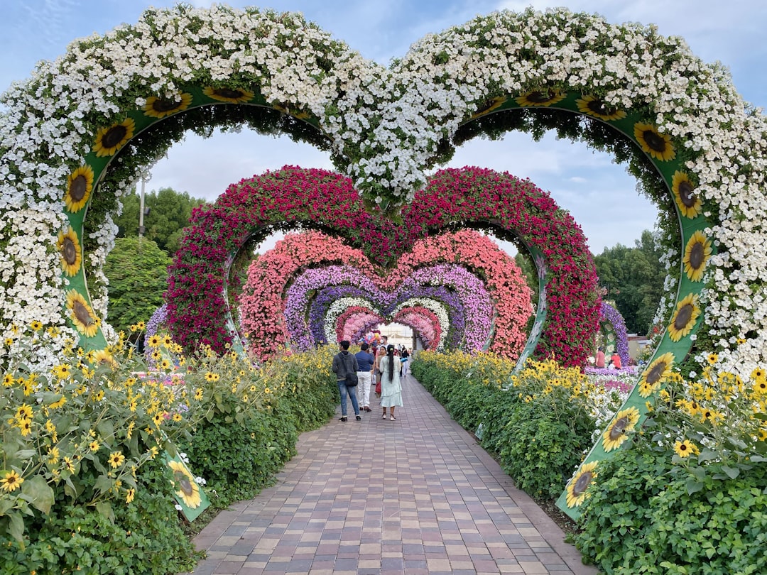 Photo Flower garden